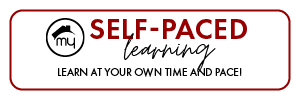 Self paced learning